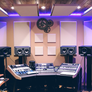 reggae paradise riddim label