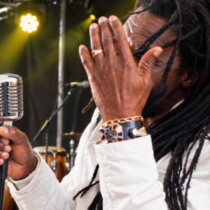 reggae paradise vip interview
